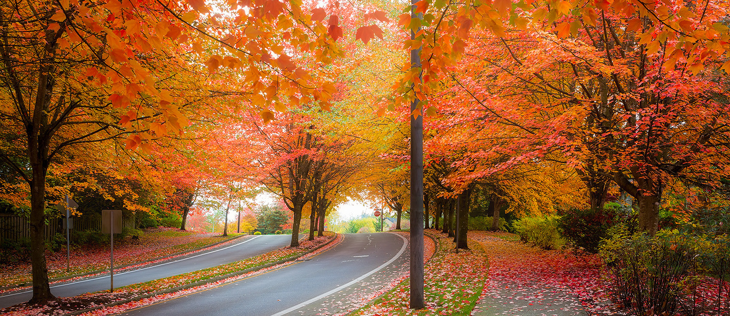 Best Things To Do Near Grants Pass